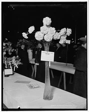 American Carnation Society Exhibition,prize,flowers,JB historic photo