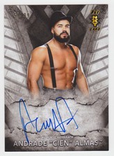 2016 Topps WWE NXT Wrestling Cards 22