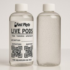 16 Oz Live Copepods Tigri, Apoc, Tisbe Arrive-Alive Guarantee