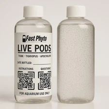 16 Oz Live Copepods (Tigri, Apoc, Tisbe) Arrive-Alive Guarantee 
