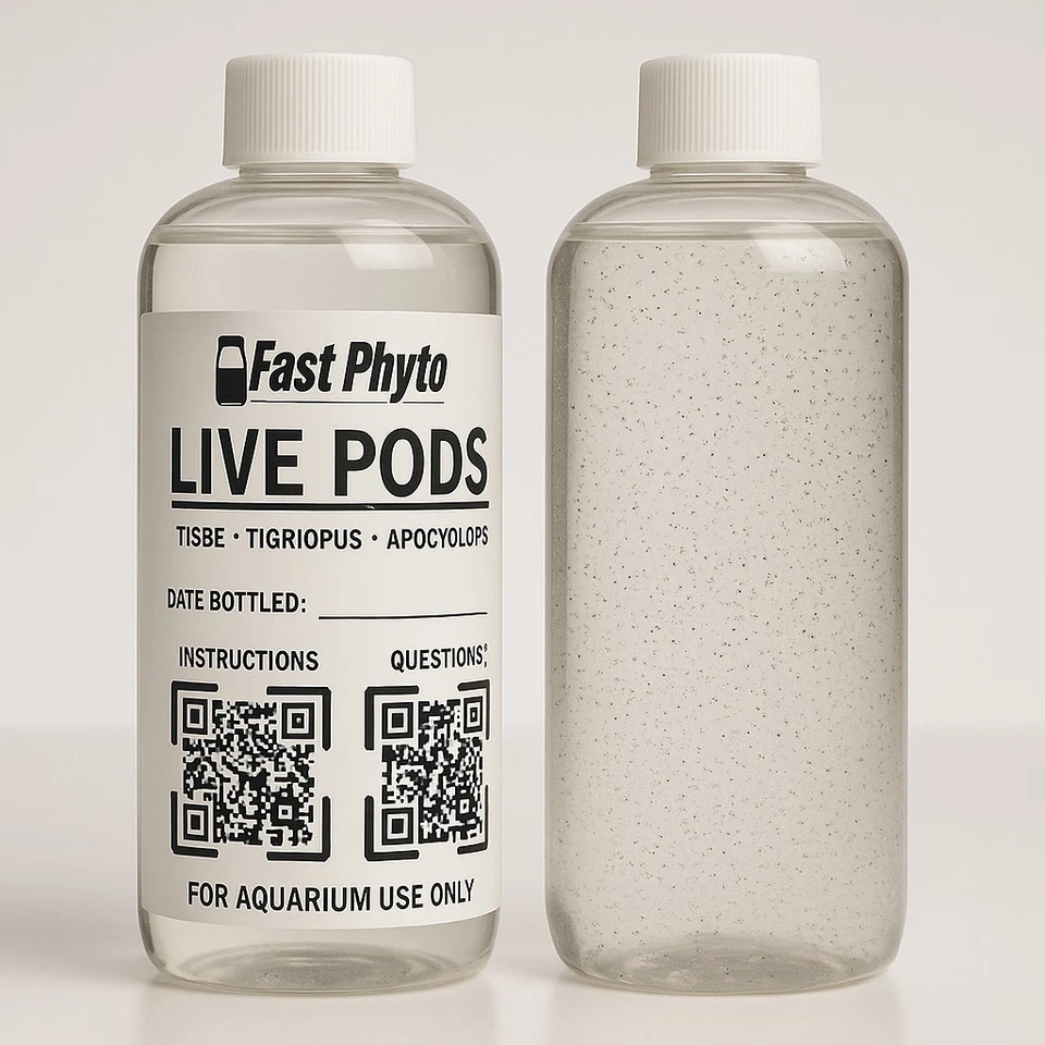 16 Oz Live Copepods (Tigri, Apoc, Tisbe) Arrive-Alive Guarantee
