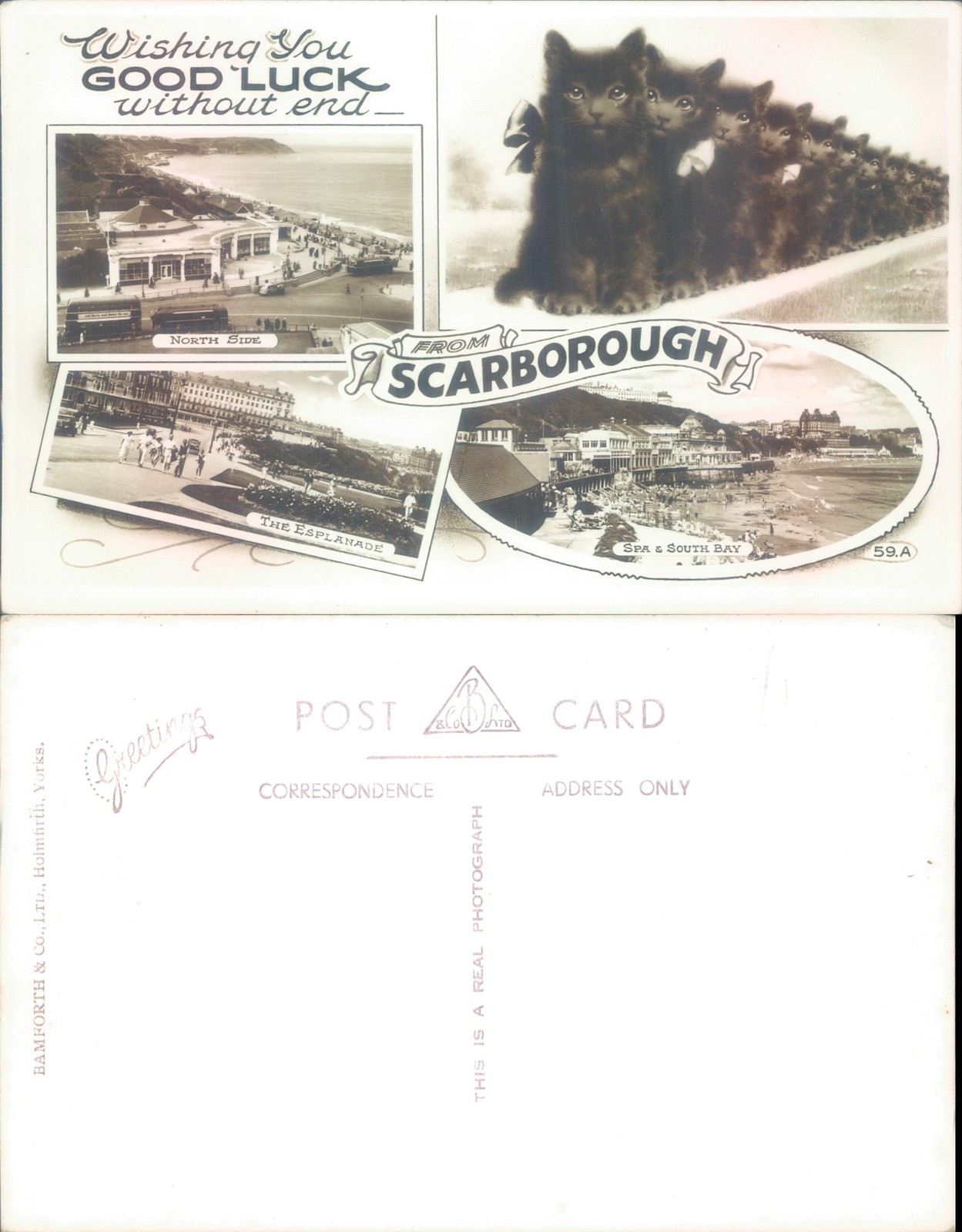 Scarborough views with cats Bamforth Co Animals Cities Towns Real Photo RPPC