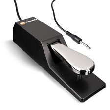 M-AUDIO SP-2 Universal Sustain Pedal with Piano Style 1 Function, Black