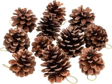 25 Pcs Natural Pine Cones 1.6-2.4 Inches with String for Christmas  Fall Decor
