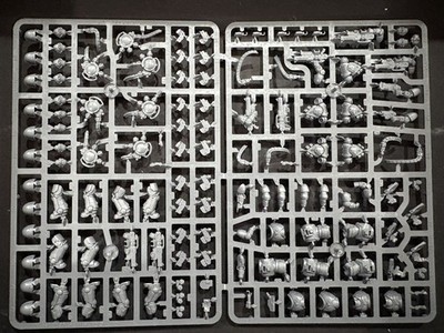 Primaris Hellblasters (x5) - Space Marines - Warhammer 40K - New On Sprue