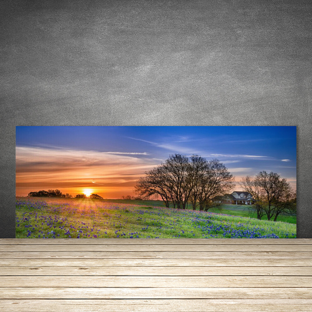 Crédence de cuisine en verre trempé 125x50 cm panneau déco nature