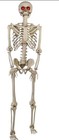 5Ft 5 inch Light up Poseable Skeleton Decoration, Scary Halloween Outdoor p3