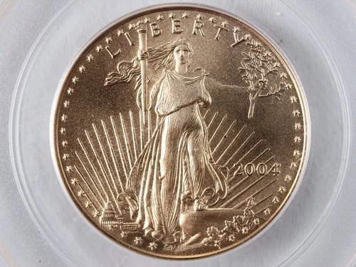 2004 American Gold Eagle 1/2 oz — photo from the most recent tracked eBay sale