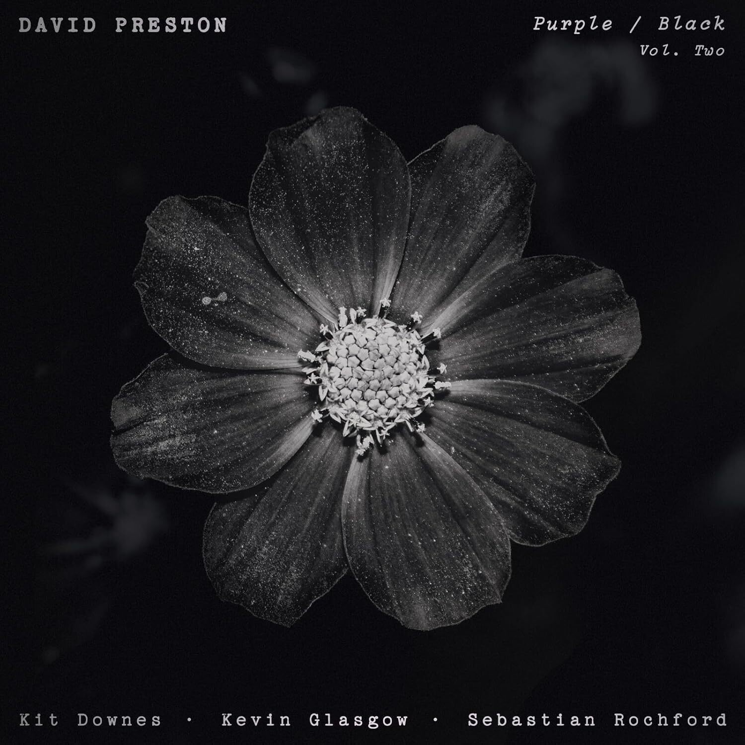 David Preston Volume 2 - Фиолетовый/черный (винил) (ИМПОРТ ИЗ Великобритании) (ПРЕДПРОДАЖА 23.05.2025)