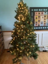 6.5 Foot Scotch Pine Pre-Lit Clear Light Christmas Tree Shops W/ Box