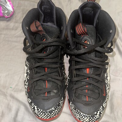 ebay foamposites size 11