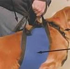 BRAND NEW DURABLE POLYCANVAS DOUBLE HANDLED PET LIFT M54