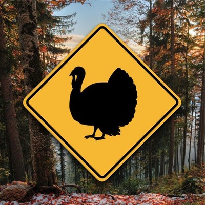 Turkey Crossing - Aluminum Warning Placard - Unique Bird Sign - Fun Yard Decor