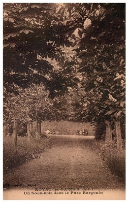 Vintage Postcard Royat Les Bains Parc Bargoin Forest View France