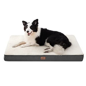 ebay large dog beds