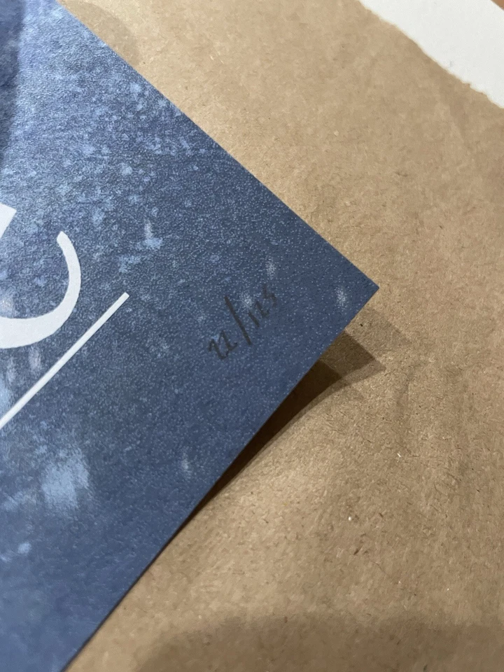 SOLO EN CASA Y 2 póster SET KEVIN WILSON serigrafía estilo Mondo números coincidentes Foto 3 de 4