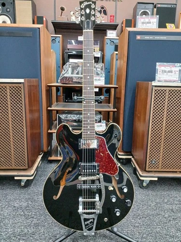 Gibson ES-335 Black Made in USA 2023 Semi Hollow Body Electric Guitar Modified