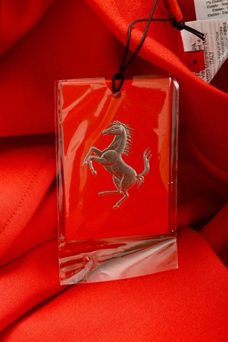 Scuderia Ferrari Men's Red "Double Face Lanyard" Joggers Pants US S IT 48 - Afbeelding 4 van 4