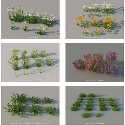 VRAY MAT & VMESH OF PLANTS/FLOWER VASES/GRASS FOR SKETCHUP (Huge Collection) - Picture 12 of 12