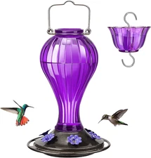 Glass Hummingbird Feeder 24 Ounces, 6 Feeding Ports, Hanging Bird Nectar Feeder