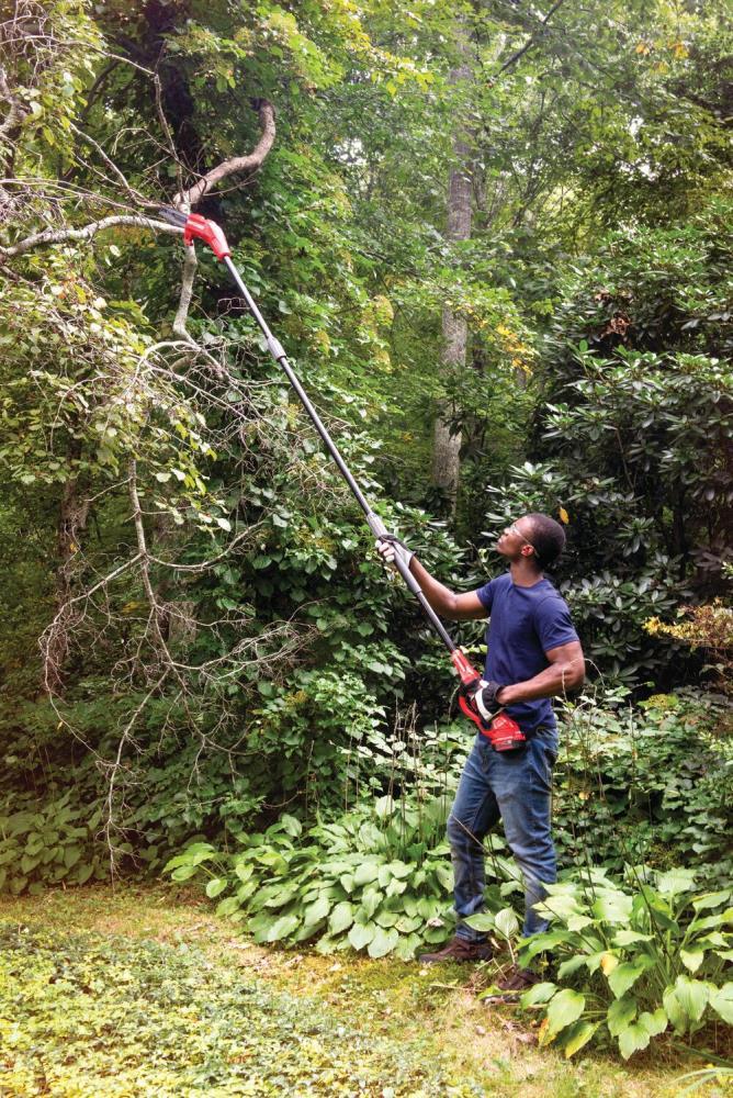 20-volt 8-in Cordless Electric Pole Saw 
