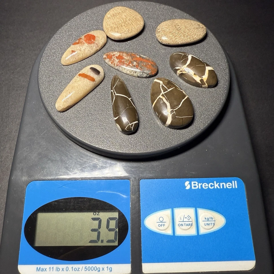 Lot of 8 Michigan Cabochons Charlevoix Puddingstone Lightning Stone Glows #1219 - Image 2 of 4