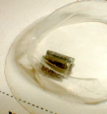 12 Tooth Medium Slot Car Brass Pinion 48 Pitch .078" Rannalli  Original NOS