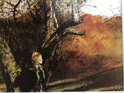 Andrew Wyeth、WITCH DOOR、希少画集画、新品高級額、額装付 Andrew Wyeth、WITCH DOOR、希少画集画、新品高級額、額装付