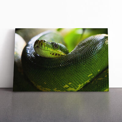 Grüner Baum Python Schlange Leinwand Wandbild Kunstdruck gerahmtes Bild Deko Wohnzimmer