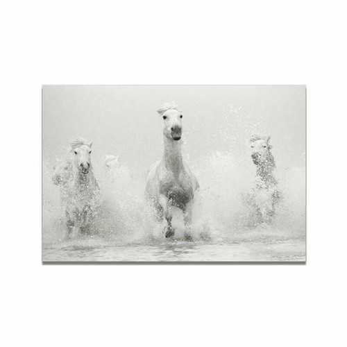 Animal White Horse Canvas Art Print Poster Living Room Wall Picture Modern Decor - Picture 14 of 17