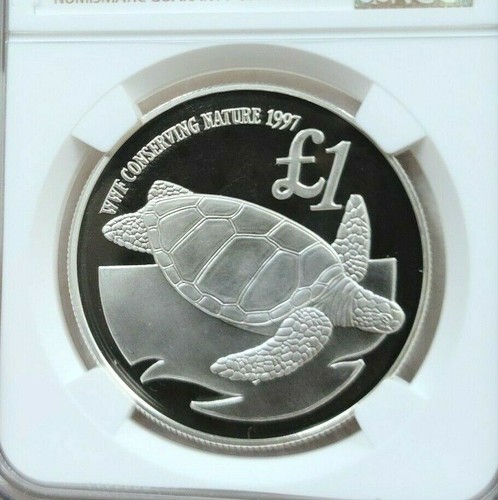 1997 CYPRUS SILVER 1 POUND GREEN SEA TURTLE NGC PF 69 ULTRA CAMEO RARE TOP POP 1 - Picture 3 of 3