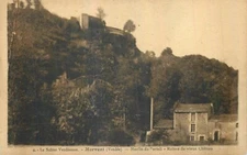 85 FORET DE MERVENT (sold) 73129