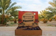 5LB LARGE  FRESH ARIZONA'S GROWN PREMIUM ORGANIC MEDJOOL DATES.
