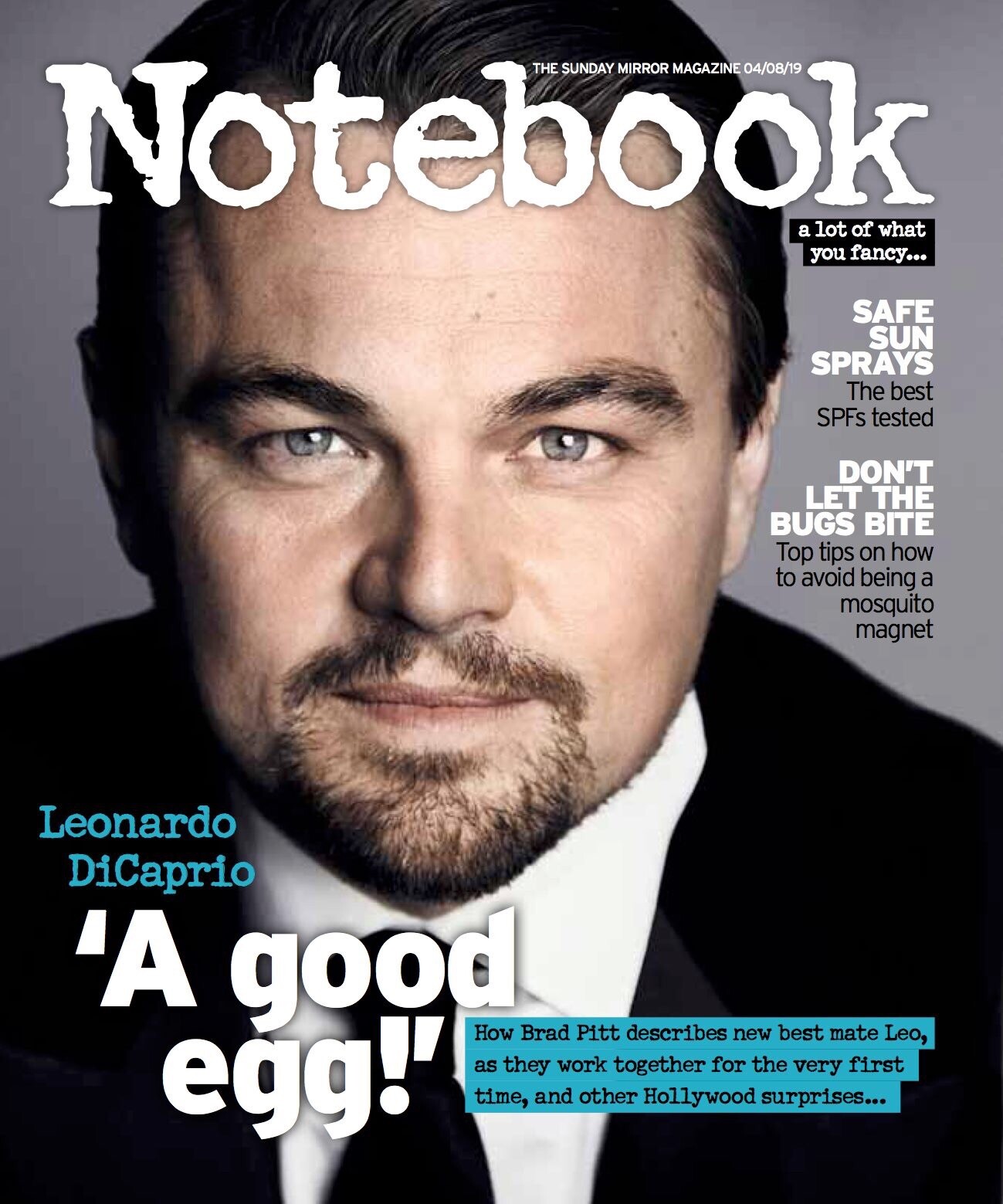 Hollywood Icon Notebook featuring DiCaprio Pitt Bea Wilson 4/8/19  -image