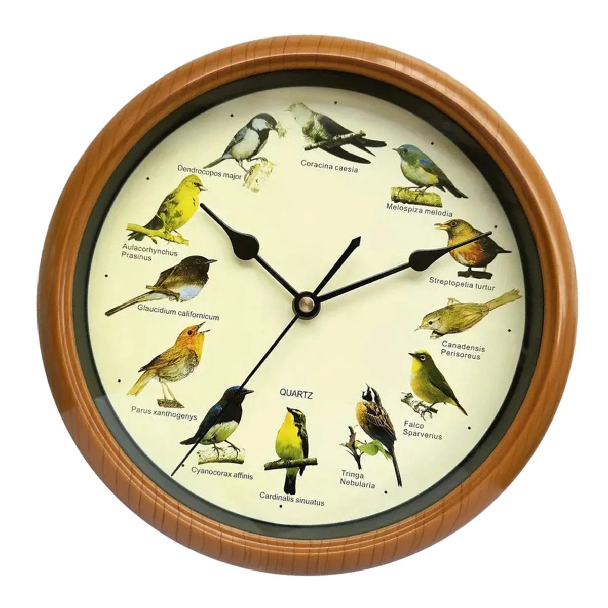 Orologio Da Parete Shabby Chic