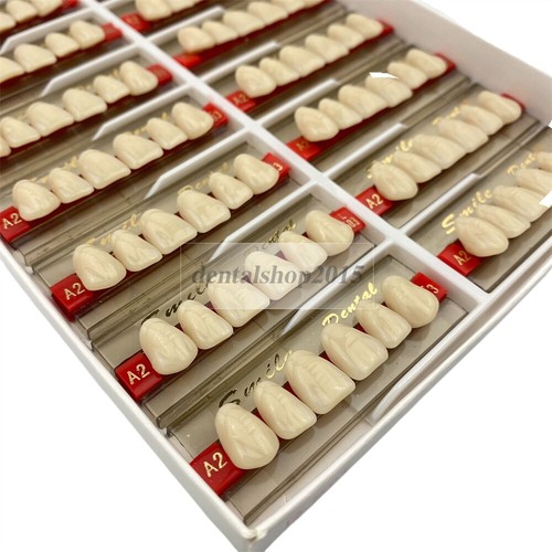 Dental 3-Set Acrylic Resin Denture Teeth – VITA Color A2, Upper & Lower, 84 Pieces