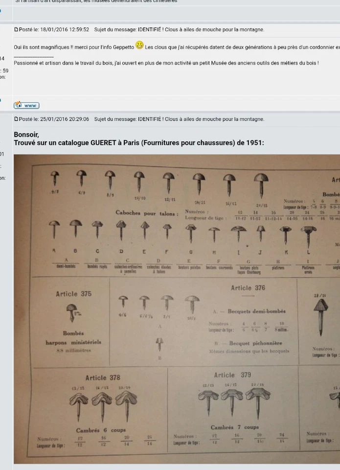 Lot 20 Anciens Clous "ailes de mouche" Militaria , brodequin, Déco 20/14 - Photo 3/4