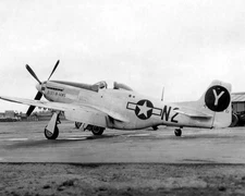 North American P-51 Mustang World War II WWII WW2 8x10 Photo 497c