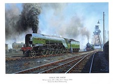 The Railway Paintings of Malcolm Root by Hawkins, Mac Hardback Book The Cheap