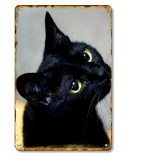 Retro Black Cat Metal Sign Vintage Distressed Iron Tin Wall Art Yellow Eyes Home