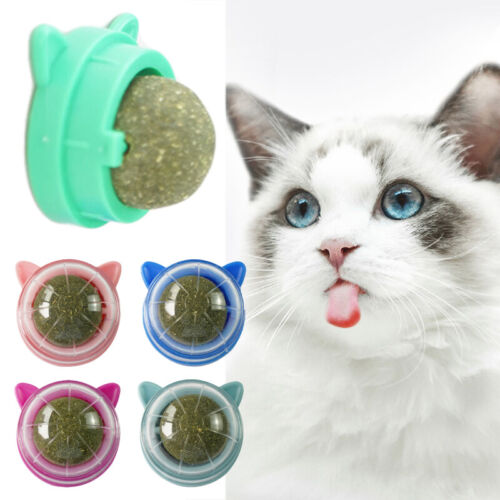 Rotatable Pet Catnip Ball Wall Toys Healthy Natural Cleaning Teeth for Cats Lick - Picture 1 of 26