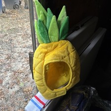 Spongebob Costume Includes Pineapple, Hat, And Spongebob Knee-High Socks New