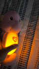 Video 1 di 1