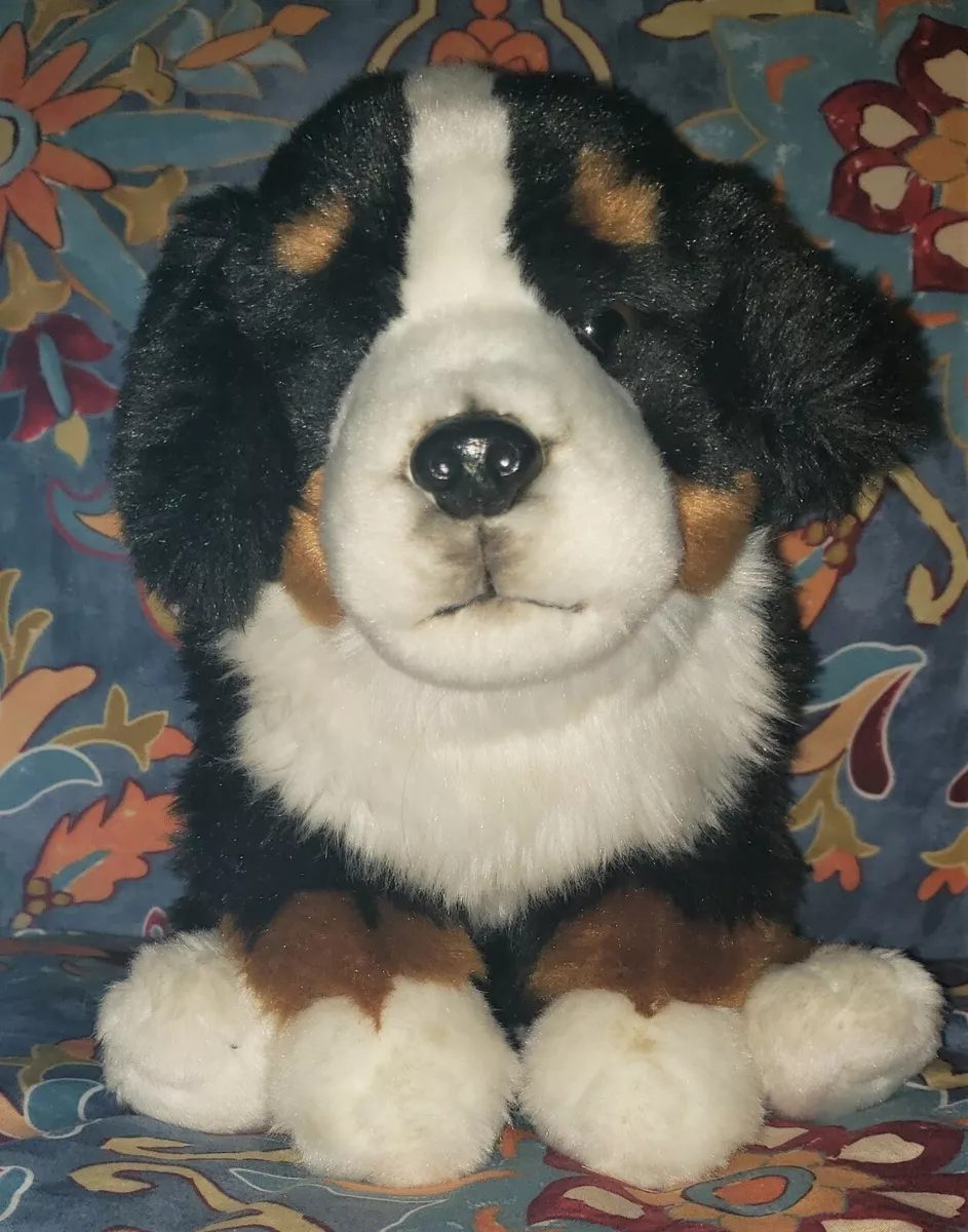 Webkinz signature best sale bernese mountain dog