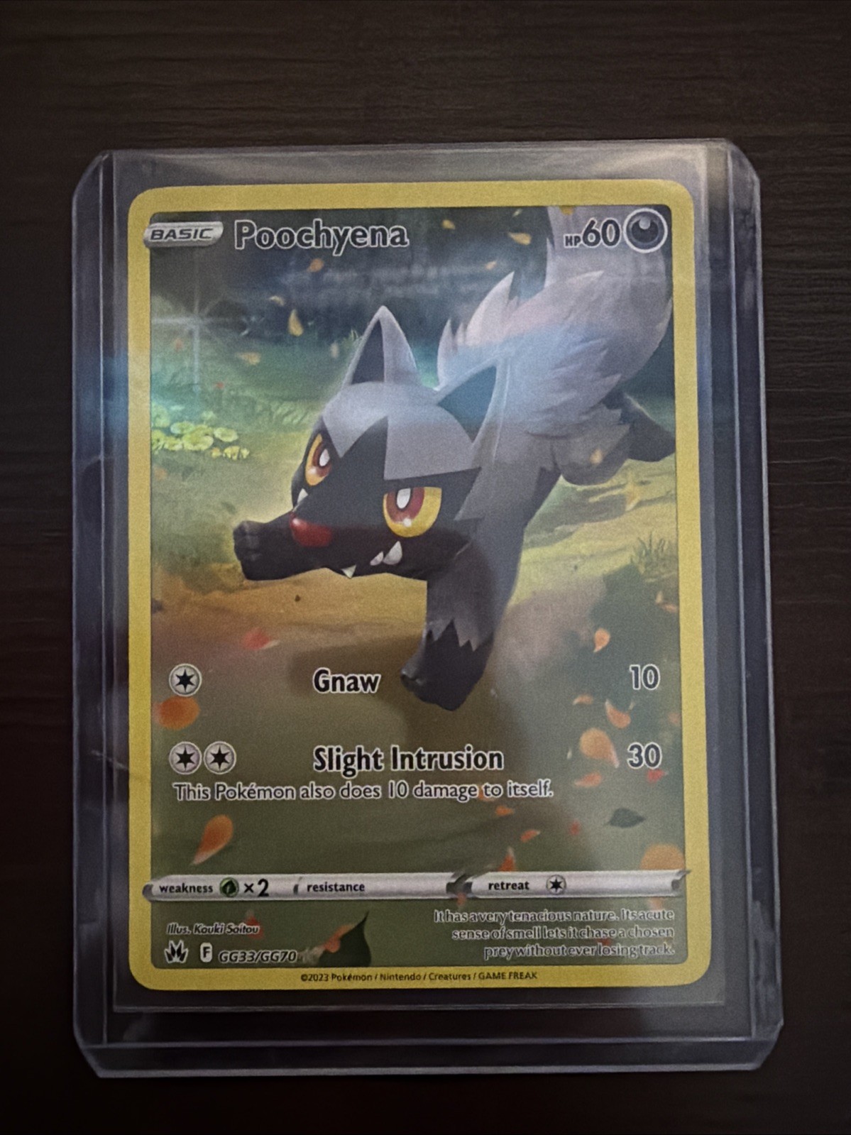 Poochyena GG33/GG70 Crown Zenith: Galarian Gallery Holo