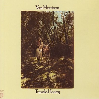 Van Morrison - Tupelo Honey - Used Vinyl Record - F2508z