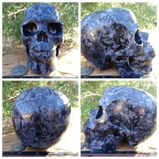 Huge 5" Indigo Gabbro Stone Skull Hand Carved 3.5lb 1590g Big Sculpture Display