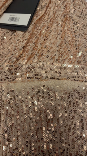 Ieena For MacDuggal Rose Pink Sequin One Shoulder Mesh Long Gown Size 14 - Video 1 of 1