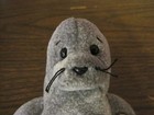 Bild 3 von 11
