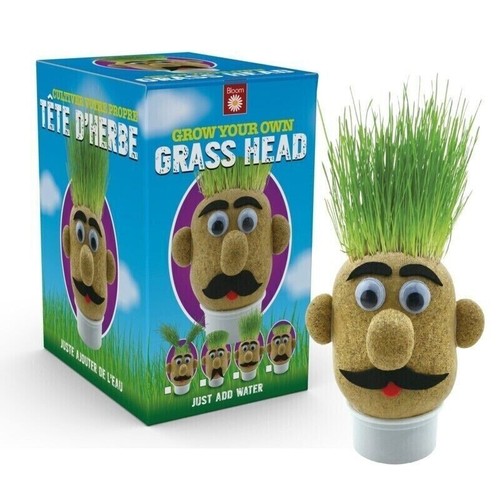 Grow your own Grass Head Kids Grass Head Stocking Filler Christmas Gift Fun Toy - Picture 6 of 6
